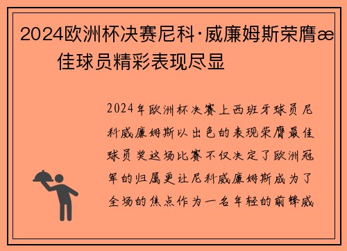 2024欧洲杯决赛尼科·威廉姆斯荣膺最佳球员精彩表现尽显