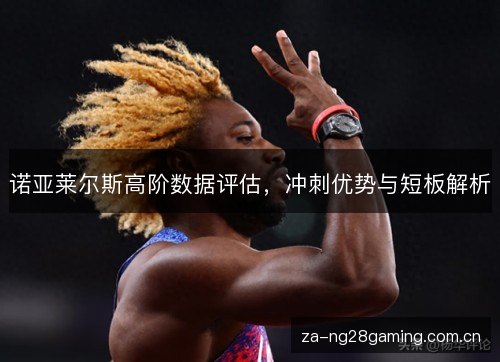 诺亚莱尔斯高阶数据评估，冲刺优势与短板解析